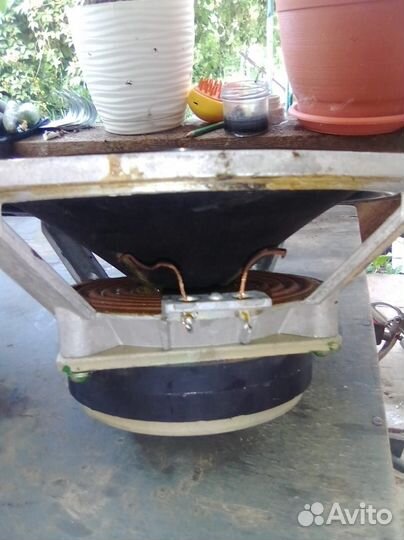 Динамики 50 гдн-3-30