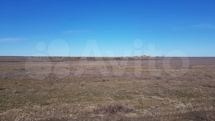 Участок 8 га (СНТ, ДНП)