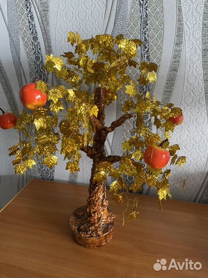 Денежное дерево