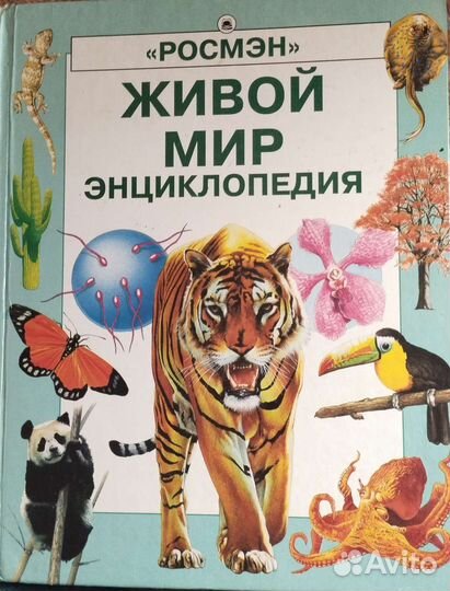 Энциклопедия