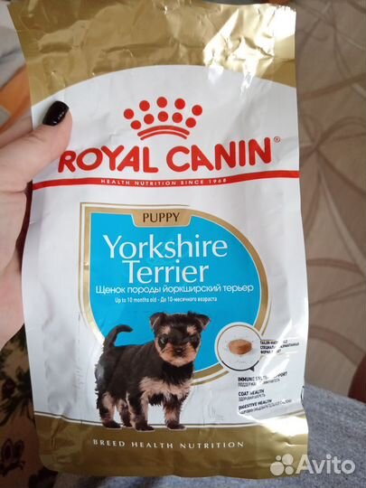 Royal canin