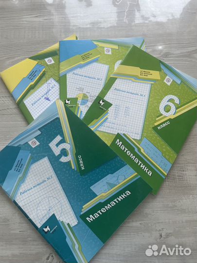 Рабочие тетради для школьников 6 класса