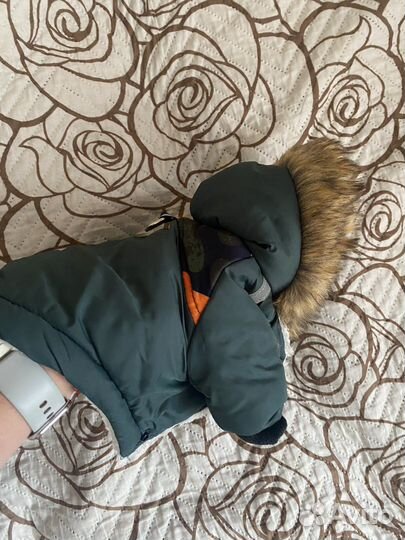 Куртка для собак мелких пород