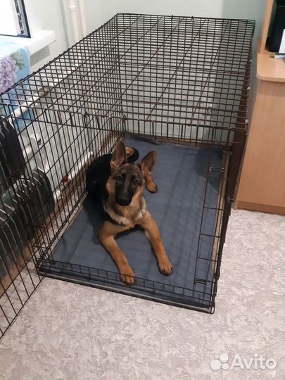 Клетка складная для собаки/кошки /животных