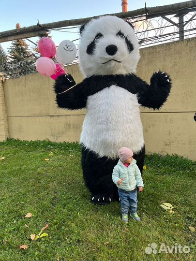 Мнгновенное- экспресс поздравление Белого Медведя