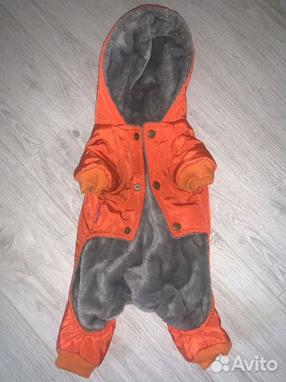 Комбинезон для собаки