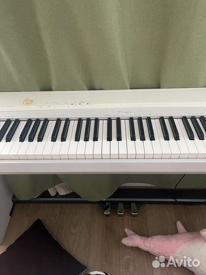 Цифровое пианино аренда