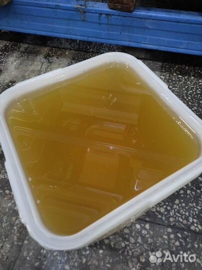 Мёд липовый оптом