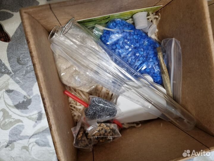 Муравьиная ферма