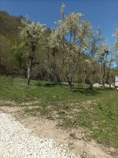 Участок 3 га (СНТ, ДНП)