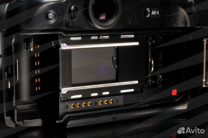 Nikon N90s / 8957