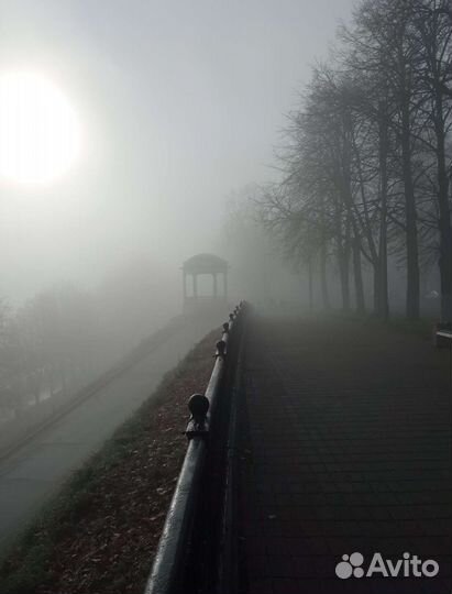 Экскурсовод по Ярославлю