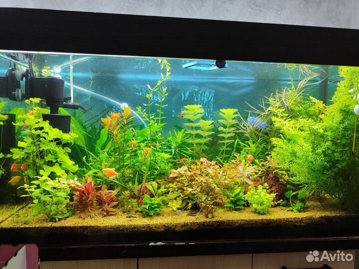 Удобрения для аквариумных растений