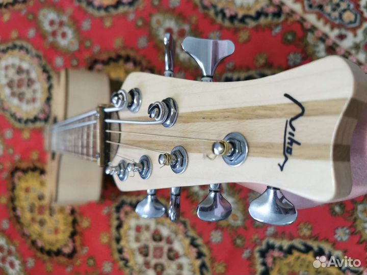 Акустическая гитара с басовыми струнами