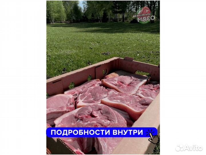 Мясо свинина