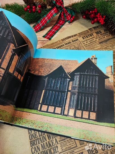 Книга Ancient English Houses