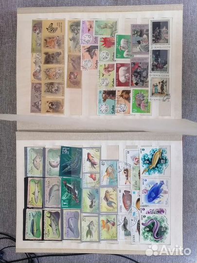 Почтовые марки