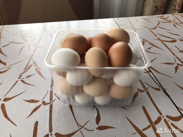 Домашние куриные яйца