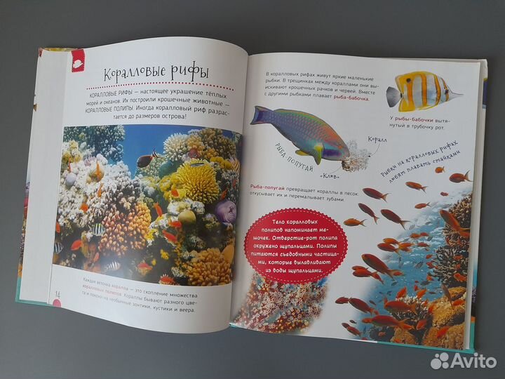 Детская энциклопедия Росмэн