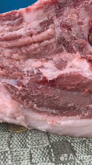 Поросята дюрок