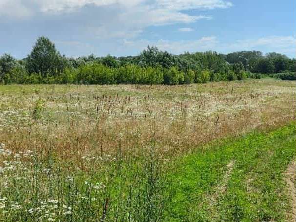 Участок 3,7 га (СНТ, ДНП)