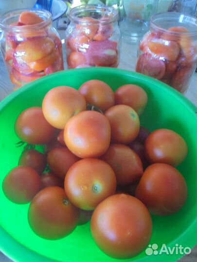 Томаты салатн/засол Тыква Кабачки Перец Чеснок