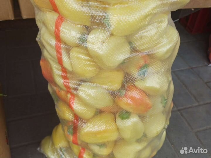 Перец болгарский