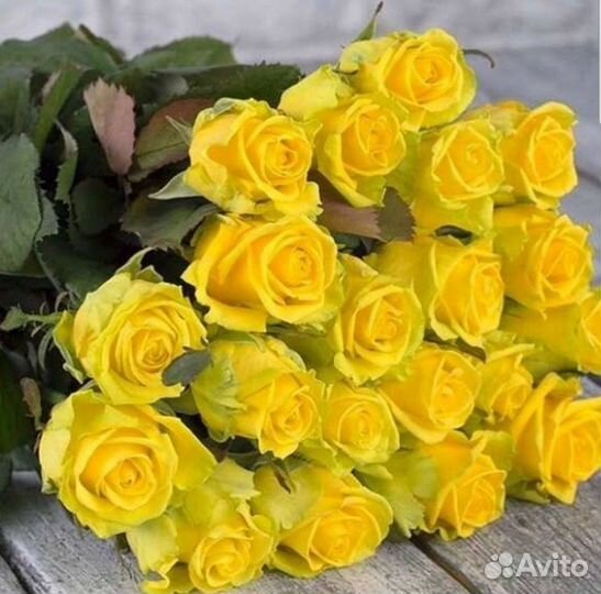 Желтые розы Букет желтых роз 31 роза 51 роза