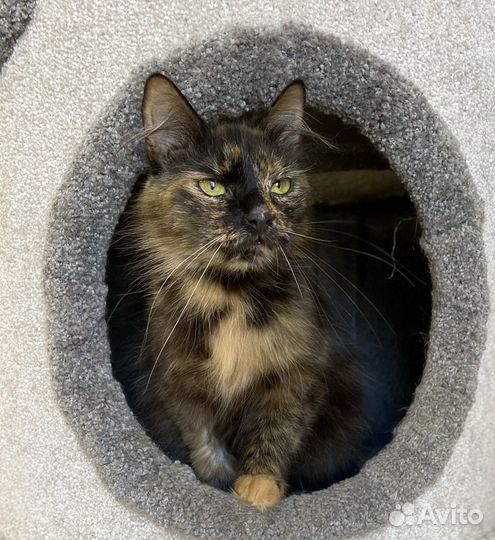 Уже не ждет