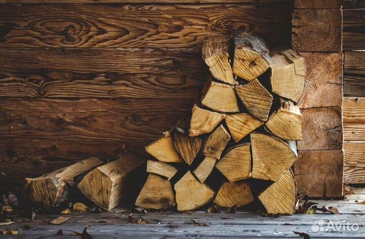 Дрова без жучков