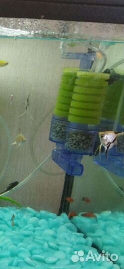 Компрессор для аквариума