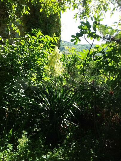 Дом 140 м² на участке 25 сот.