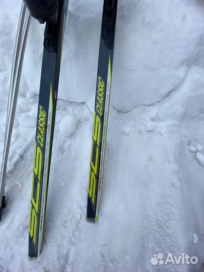 Лыжи беговые fisher классические 202