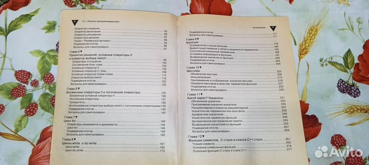 C++ Основы программирования Самоучитель Джефф Кент