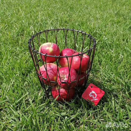 Фруктовница транформер, ваза, подарок учителю