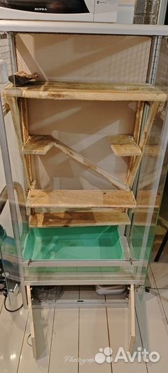 Клетка - витрина для грызунов