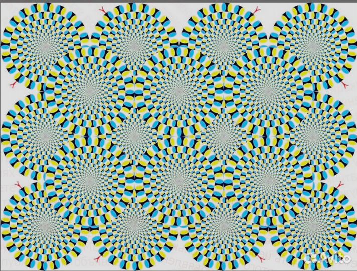 Разнорабочий требуется Еженед.авансы /Еда беспл