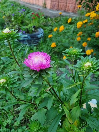 1-к. квартира, 30 м², 1/5 эт.