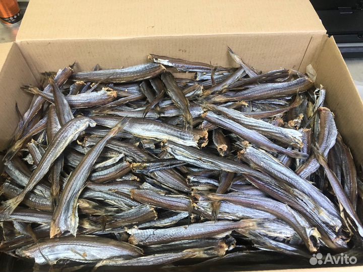 Путассу вяленая оптом