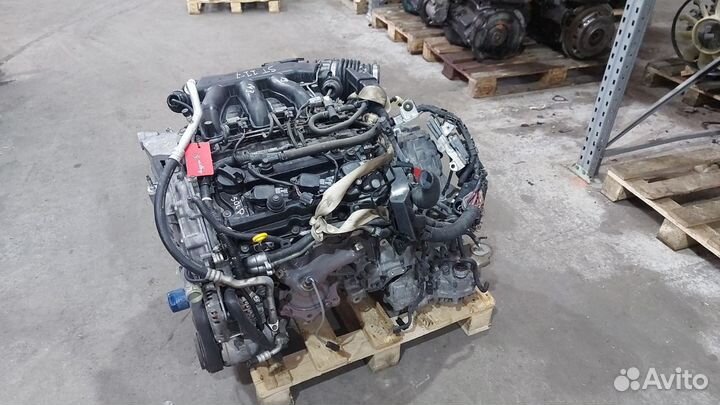 Двигатель Nissan Murano 3.5 VQ35DE