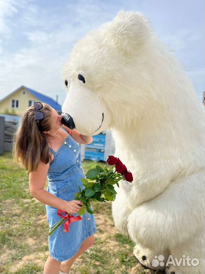 Белый мишка аниматор