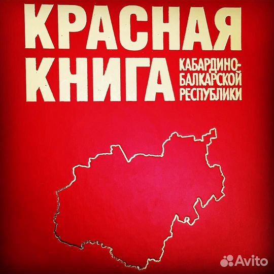 Печать книг с любом переплете