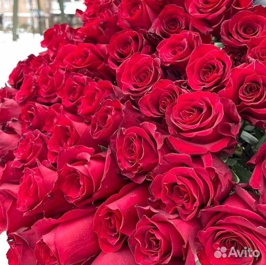 Розы Цветы Букеты 25 151 201 101 301 501 опт