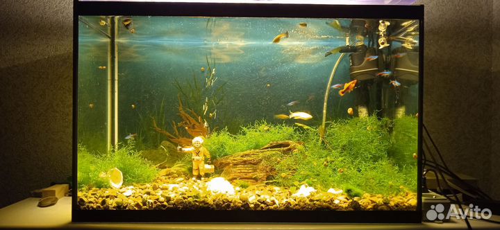 Аквариум