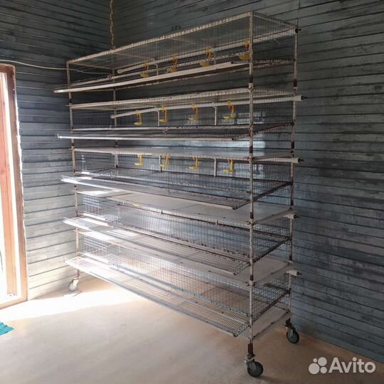 Клетки для перепелов