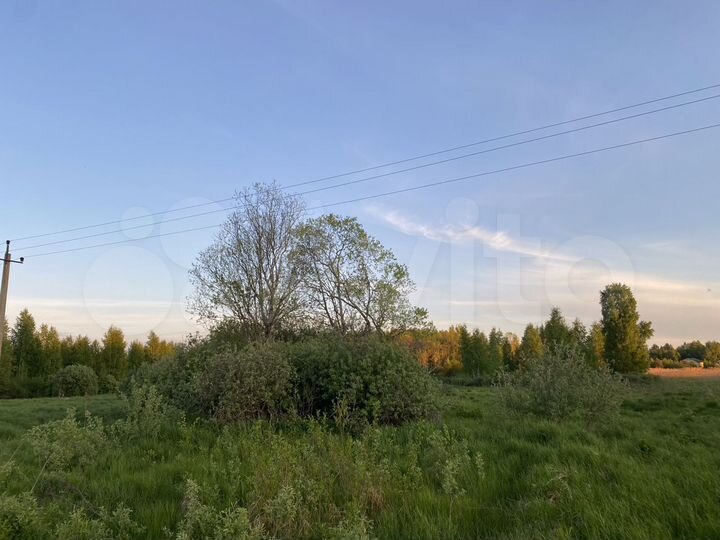 Участок 45 сот. (ИЖС)