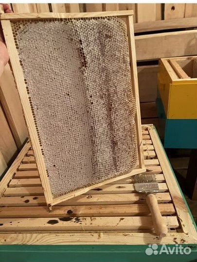 Пчелопакет