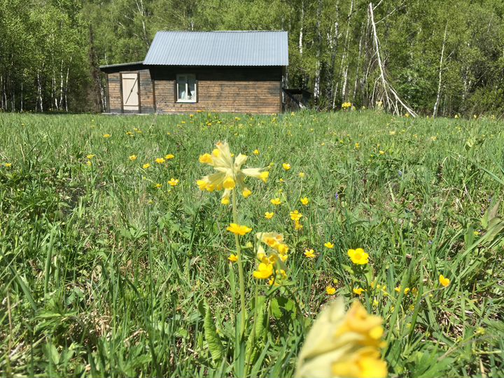 Участок 12 га (СНТ, ДНП)