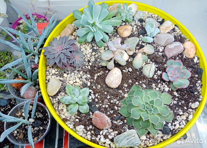 Садики из цветов на заказ