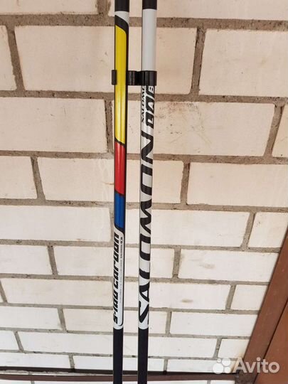Палки salomon